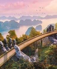 z足球比分网-Z足球比分网，球迷的实时数据宝库与赛事体验升级站